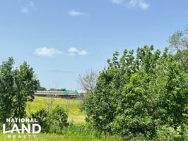 31641691
