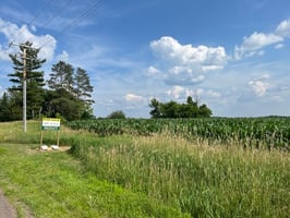 15350482