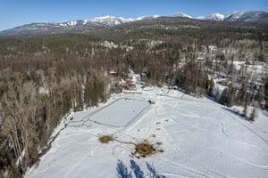 15376954