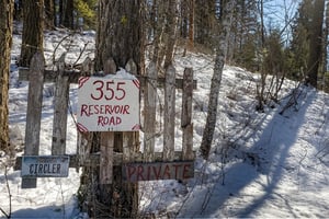 15376968