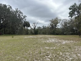 15392080