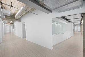 29085923