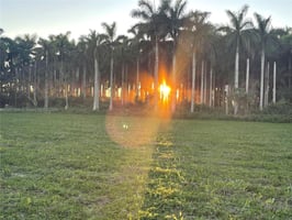 27835808