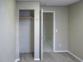 15946558