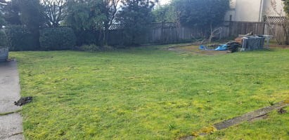 15423496