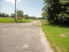 15464921