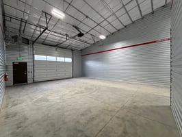 15494381