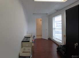 15505494