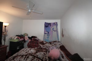 23568004