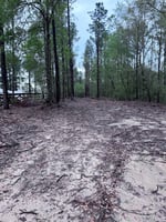 15627484