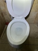 23358607