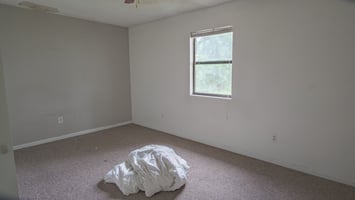 32884668
