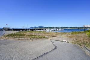 15645118