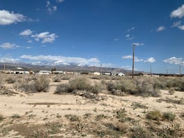 21679248