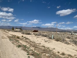 21679249