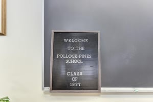 15696831