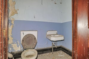 15697772