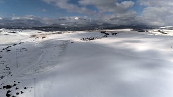 15937526