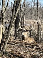 16599237