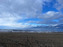15950452