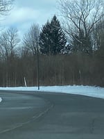 16496150