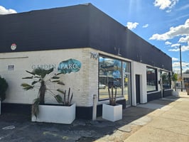 16581538
