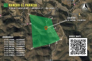 16588428