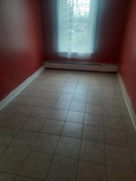 23832688