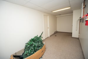 16631089