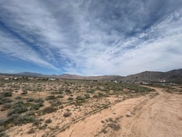 16632593