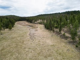 16658812