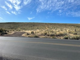 20166534