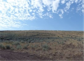 20166541