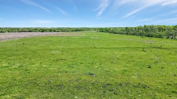 16664634