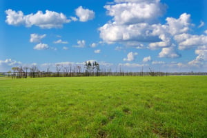 16675915