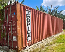 16677364