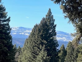 17183581