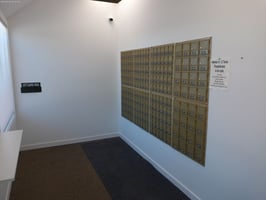 33736296