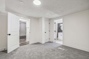 17202845