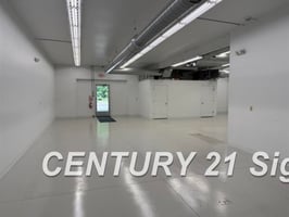 26664854