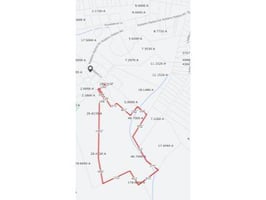 17248526