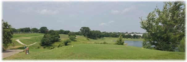17266032