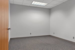 17275008