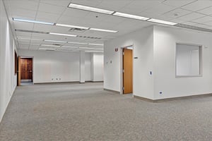 17274987