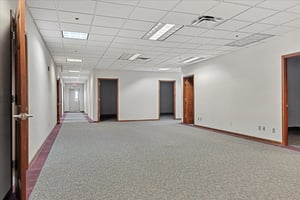 17275004