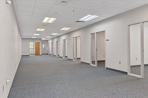 17275007