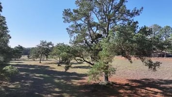31658481