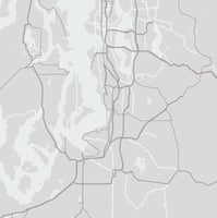 17305771
