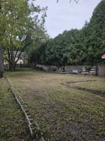 29237459