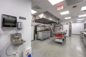 23036369
